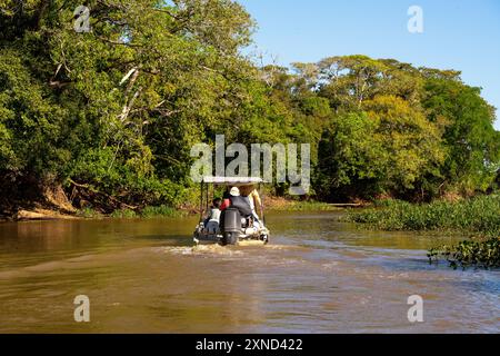 Touristen auf der Suche nach dem jaguar, der größten südamerikanischen Katze, Meeting of Waters Park, Pantanal von Mato Grosso, Brasilien Stockfoto