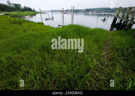 Vertäute Boote in der Nähe von Joshua Point, Leete's Island, am Long Island Sound, Guilford. CT, New England, USA. Stockfoto