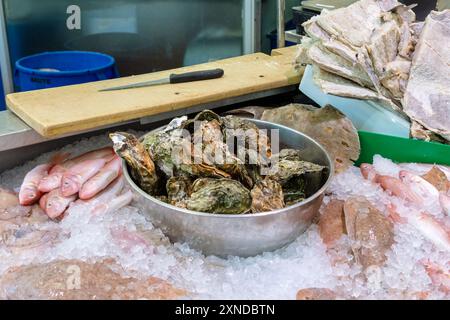 Frische Austern und verschiedene Fische auf zerstoßenem Eis an einem Fischstand auf dem Cardiff Market in Cardiff, Wales, UK. Stockfoto