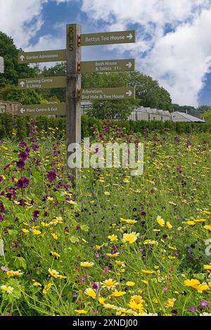 Wegweiser im lebhaften RHS Garden Harlow Carr Wildblumengarten führt Besucher zu Attraktionen, Harrogate, North Yorkshire, Großbritannien. Stockfoto