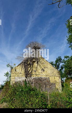 Die Giebelwand des verlassenen und verlassenen Bridgend House im kleinen Dorf Balmerino mit seiner gelben Farbe, die von den Wänden abblättert, und seine Stockfoto