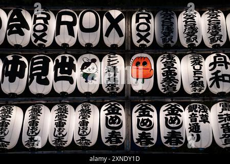 Eine Auswahl an farbenfrohen Laternen mit komplizierten japanischen Schriften Stockfoto