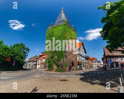 Der Westerntorturm in Wernigerode ist ein historischer, mit Efeu bedeckter mittelalterlicher Turm an einer wichtigen Kreuzung der Stadt Stockfoto