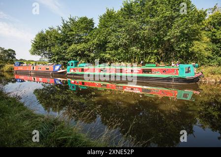 Farbenfrohe Schmalboote Billy Whizz (links) und Wildflower (rechts), Leeds & Liverpool Canal in der Nähe von Gargrave 1. August 2024 Stockfoto