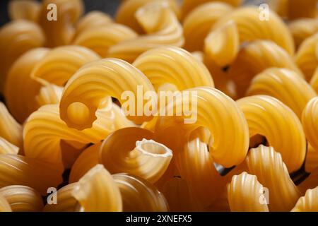 Nudeln Cavatappi Makroaufnahmemittel Stockfoto