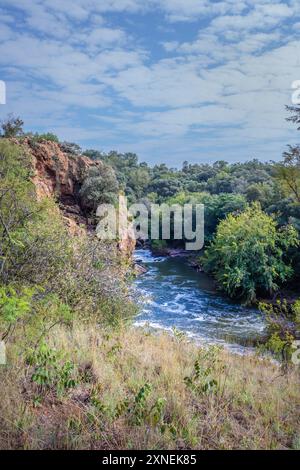 Blick auf einen Hennops Wander Trail, mit Fluss, kleiner Brücke und Seilbahn über den Fluss, Hartbeespoort, Johannesburg, Südafrika Stockfoto