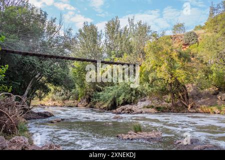 Blick auf einen Hennops Wander Trail, mit Fluss, kleiner Brücke und Seilbahn über den Fluss, Hartbeespoort, Johannesburg, Südafrika Stockfoto