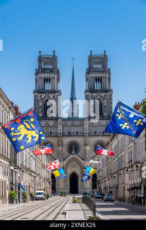 Blick auf die Rue Jeanne d'Arc mit der gotischen Kathedrale Sainte-Croix d'Orléans im Hintergrund zwischen zwei Reihen von Bannern, Orleans, Frankreich Stockfoto