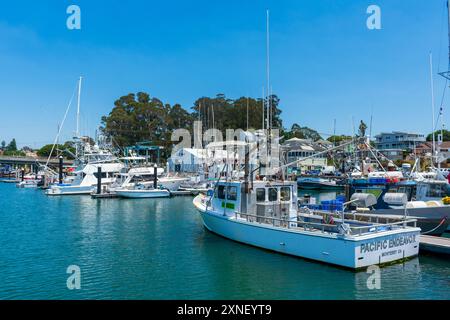 Santa Cruz Small Craft Harbor, gefüllt mit Booten und Yachten, Fischerei- und Freizeitschiffen, unter einem klaren blauen Himmel - Santa Cruz, Kalifornien, USA - Stockfoto