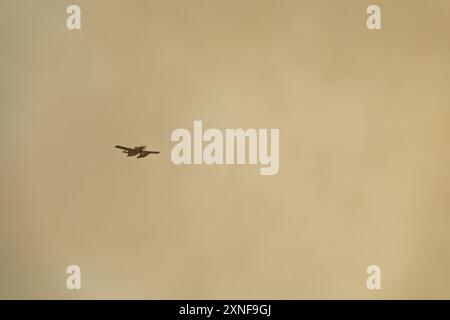 Löschflugzeug, das durch einen Waldbrand in eine große Rauchwolke fliegt Stockfoto