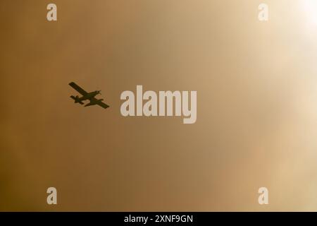 Löschflugzeug, das durch einen Waldbrand in eine große Rauchwolke fliegt Stockfoto