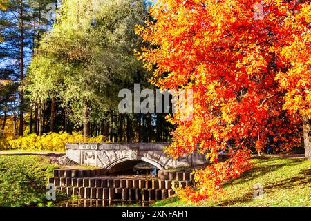 Landschaft mit Herbstwald, Weg und Brücke über den Fluss. Herbstpark mit Fluss vor blauem Himmel. Orangefarbene Bäume, grünes Gras und Stockfoto