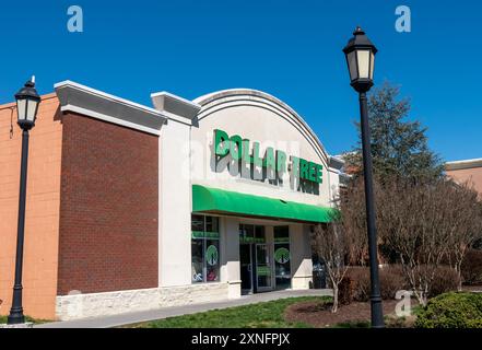 SEVIERVILLE, TN - 12. März 2024: Dollarbaum-Geschäft mit einem immergrünen Baum, Sträuchern und Lichtern an den Stangen vor der Tür. Stockfoto