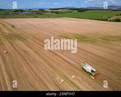 Garlieston, Wigtownshire, Schottland, Großbritannien - Mittwoch, 31. Juli 2024 – Luftaufnahme von Landwirten, die Maisstängel für die Strohernte an einem sonnigen, warmen Tag in den Feldern der ländlichen Dumfries & Galloway schneiden und pressen – die lokalen Temperaturen erreichten 22c mit Regenvorhersage für Freitag – Foto Steven May / Alamy Live Neuigkeiten Stockfoto