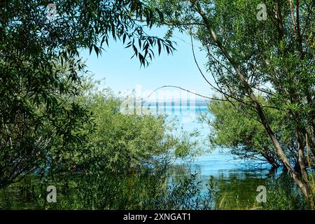 Leuchtend grüne Bäume und Sträucher an einem Bergsee. Blauer klarer Himmel. Ruhiges Wasser. Stockfoto