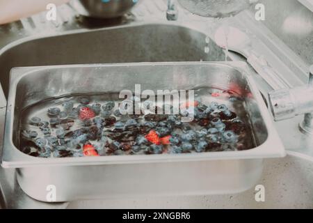 Waschen von Blaubeeren und Erdbeeren in einem professionellen Spülbecken in der Küche des Restaurants. Frisches Obst für ein köstliches Dessert Stockfoto