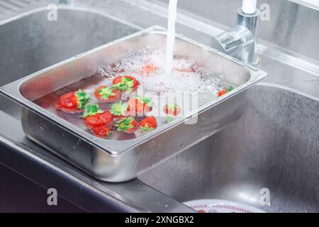 Frische Erdbeeren werden in einem geschäftigen Spülbecken gewaschen, bereit für ein köstliches Essen. Glitzernde rote Früchte heben gesunde Ernährung hervor, präsentieren natürlich Stockfoto