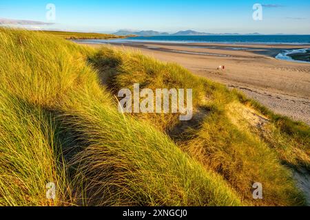 Die Hügel der Lleyn / Llyn Peninsula von den Sanddünen des Aberffraw Beach auf Anglesey, Wales Stockfoto