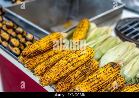 Frisch gekochter oder gegrillter Zuckermais auf dem Kolben, mit Salz und Gewürzen bestreut. Stockfoto