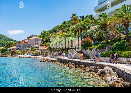 LOPUD, KROATIEN - 28. JUNI 2024: Urlauber genießen Sommerurlaub und kristallklares Wasser der Adria um Lopud, eine der Elaphiti-Inseln Stockfoto