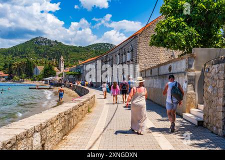 LOPUD, KROATIEN - 28. JUNI 2024: Urlauber genießen Sommerurlaub und kristallklares Wasser der Adria um Lopud, eine der Elaphiti-Inseln Stockfoto