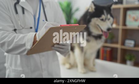 Ein Mann in einem weißen Mantel macht Notizen auf einem Klemmbrett neben einem Husky in einem Tierklinikzimmer. Stockfoto