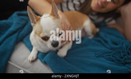 Eine junge Frau entspannt sich zu Hause und berührt sanft ihr Haustier chihuahua auf einer Couch mit einer blauen Decke. Stockfoto