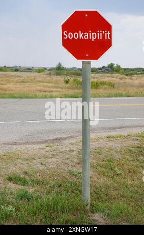 Stoppschild in indigener Sprache auf einer Autobahn in der Nähe der Siksiká Nation in Alberta, Kanada. Stockfoto