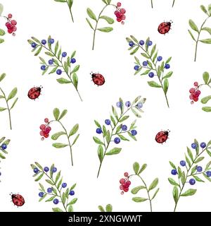 Heidelbeere, Preiselbeere, wilde Beeren, Marienkäfer, Aquarellmuster auf weißem oder transparentem Hintergrund Stockfoto