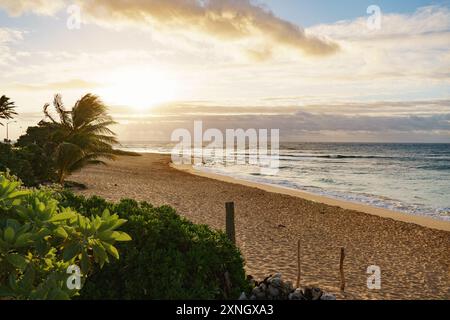 Strand mit Palmen und Sonnenuntergang im Hintergrund Stockfoto