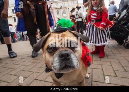 England, East Sussex, Hastings, das jährliche Pirate Day Festival, Portrait of PET Dog in Festival Kostüm Stockfoto