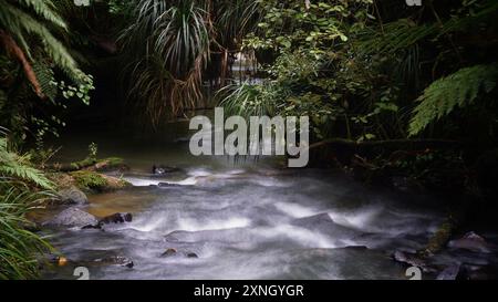 Neuseeland Fluss Stockfoto