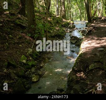 Ein Blick von oben auf einen Bach, der zu einem kleinen Wasserfall in einem Wald hinabstürzt. Stockfoto
