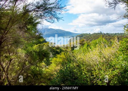 Rift Valley Crater im Waimangu Volcanic Valley - Neuseeland Stockfoto