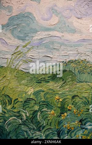 Gemälde von Vincent Van Gogh namens Green Wheat Fields, Auvers, gemalt 1890 Stockfoto