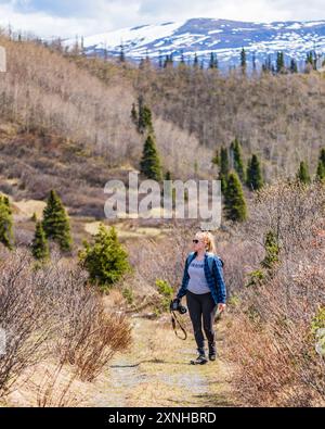 Frau in blauem Hemd wandert im Norden Kanadas während der Frühlingszeit mit brauner Landschaft und Berghintergrund. In Haines Junction, Kluane. Stockfoto