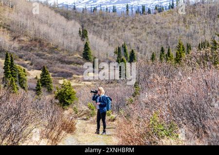 Frau in blauem Hemd wandert im Norden Kanadas während der Frühlingszeit mit brauner Landschaft und Berghintergrund. In Haines Junction, Kluane. Stockfoto