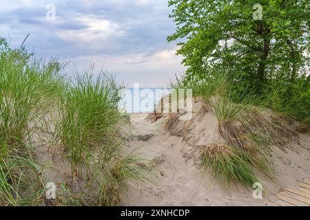 Pfad durch die Sanddünen am Strand von Kincardine Ontario. Stockfoto