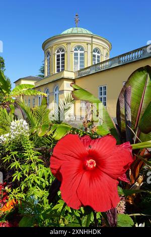 Berggarten in Hannover mit Bibliothekspavillon - gesehen am 30.07.2024 *** Berggarten in Hannover mit Bibliothekspavillon gesehen am 30 07 2024 Stockfoto