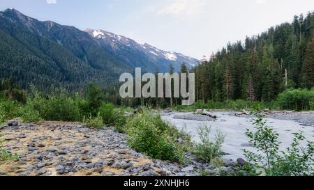 Blick auf das Flussufer entlang des Hoh River Trail im Olympic National Park Stockfoto