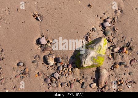 Steine, Kieselsteine und kleine Felsen am Sandstrand in Cove, an der Ostküste Schottlands. Stockfoto