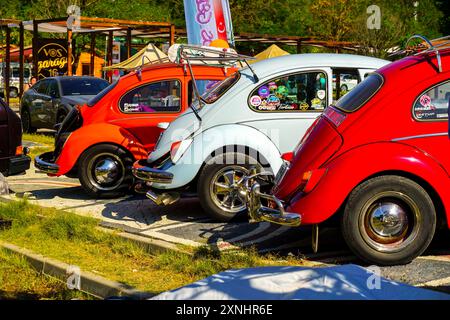 28. Juli 2024 Bursa Türkei. . Harmancik Käfer Camp in Bursa Türkei Stockfoto