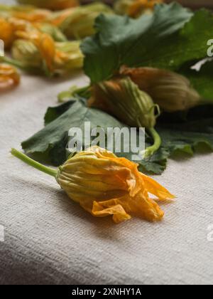 Vertikale Nahaufnahme einer Zucchini-Blume auf weißem Leinenstoff mit Blättern und Blumen im Hintergrund. Sardinien, Italien. Stockfoto