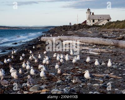 Malerischer Blick auf das historische Point Wilson Lighthouse in Fort Worden am Abend - Port Townsend, WA, USA Stockfoto