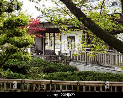 Frühling im Jonofuchi Park in Matsuyama - Präfektur Ehime, Japan Stockfoto