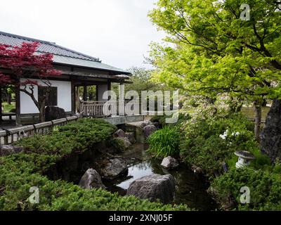 Frühling im Jonofuchi Park in Matsuyama - Präfektur Ehime, Japan Stockfoto