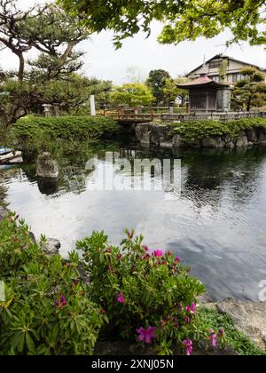 Frühling im Jonofuchi Park in Matsuyama - Präfektur Ehime, Japan Stockfoto