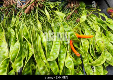 Stik-Bohnen zum Verkauf an einem Marktstand in Penang, Malaysia Stockfoto