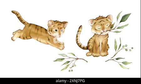 Set aus niedlichen Kawaii-Tigern, die springen und sitzen mit grünem Ast Eukalyptus. Aquarell handgezeichnete Illustration afrikanisches Tier isoliert auf Stockfoto