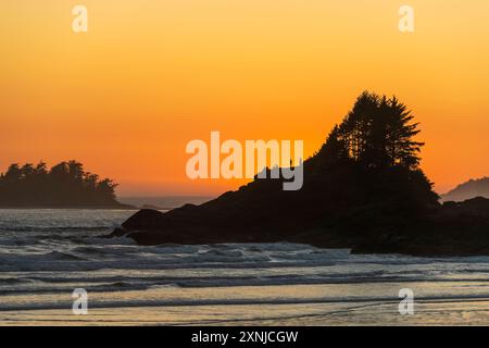 People Silhouette am Sunset Point, Cox Bay Beach, Tofino, Kanada. Stockfoto